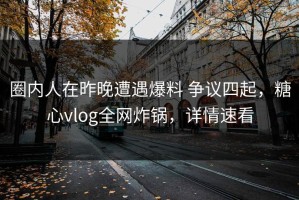 圈内人在昨晚遭遇爆料 争议四起，糖心vlog全网炸锅，详情速看