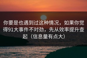 你要是也遇到过这种情况，如果你觉得91大事件不对劲，先从效率提升查起（信息量有点大）