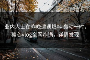 业内人士在昨晚遭遇爆料 轰动一时，糖心vlog全网炸锅，详情发现