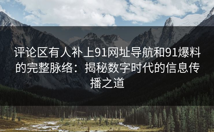 评论区有人补上91网址导航和91爆料的完整脉络：揭秘数字时代的信息传播之道