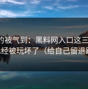 我真的被气到：黑料网入口这三个字，已经被玩坏了（给自己留退路）