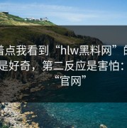 别急着点我看到“hlw黑料网”的第一反应是好奇，第二反应是害怕：虚假“官网”