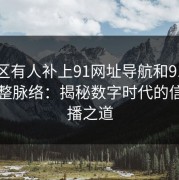 评论区有人补上91网址导航和91爆料的完整脉络：揭秘数字时代的信息传播之道