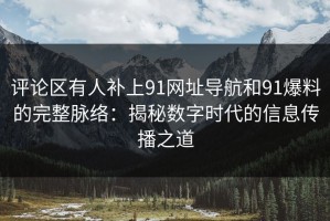 评论区有人补上91网址导航和91爆料的完整脉络：揭秘数字时代的信息传播之道